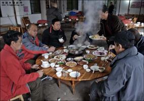 Enjoying Gongcheng Edible Oil Tea