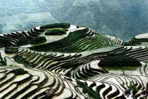 Longji Terraced Rice Fields Guangxi Tour
