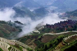 Longji Terraced Rice Fields Of Guangxi