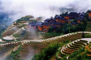 Longji Terraced Rice Fields Guangxi