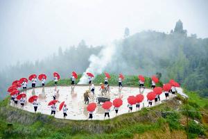 Longji Terraced Rice Fields Activity