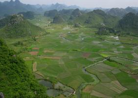 Guilin Rice Fields