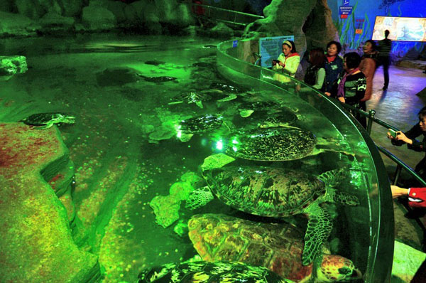 guangxi beihai underwater world, beihai underwater view, guangxi china