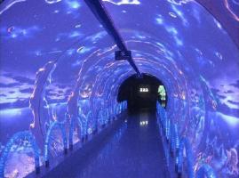 Beihai Underwater World Tunnel 